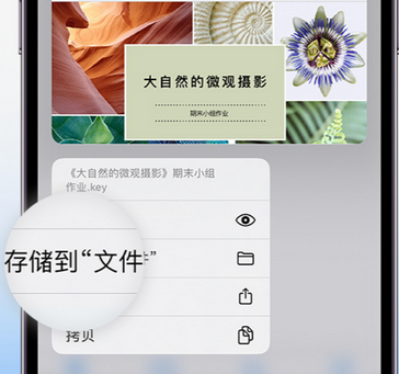 陵城apple维修中心分享iPhone文件应用中存储和找到下载文件