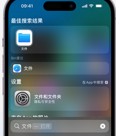 陵城apple维修中心分享iPhone文件应用中存储和找到下载文件