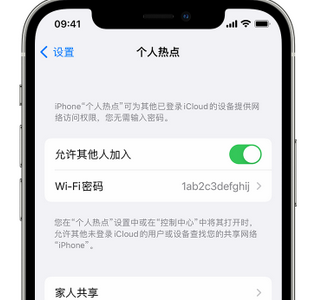 陵城apple服务站点分享iPhone上个人热点丢失了怎么办 