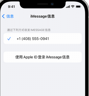 陵城apple维修iPhone上无法正常发送iMessage信息 