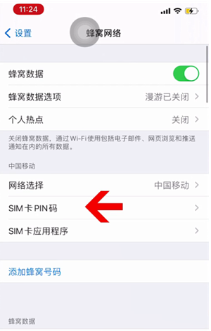 陵城苹果14维修网分享如何给iPhone14的SIM卡设置密码 