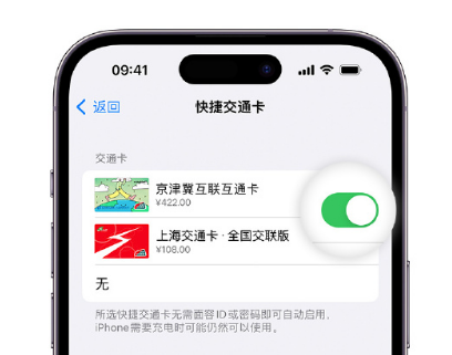 陵城apple维修点分享iPhone上更换Apple Pay快捷交通卡手绘卡面 