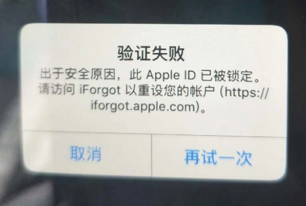 陵城iPhone维修分享iPhone上正常登录或使用AppleID怎么办 