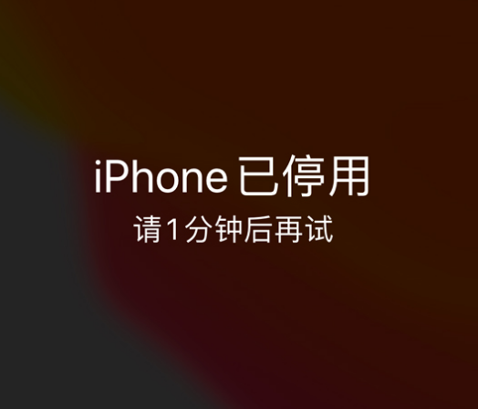 陵城苹果手机维修分享:iPhone 显示“不可用”或“已停用”怎么办？还能保留数据吗？ 