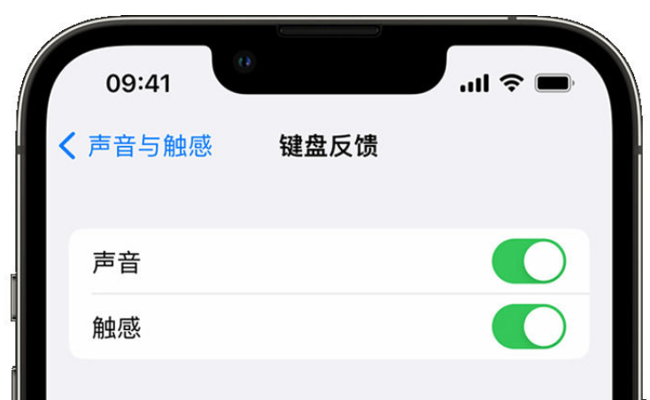 陵城苹果手机维修分享iPhone 14触感键盘使用方法 