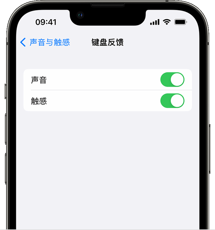 陵城苹果14维修店分享如何在 iPhone 14 机型中使用触感键盘 