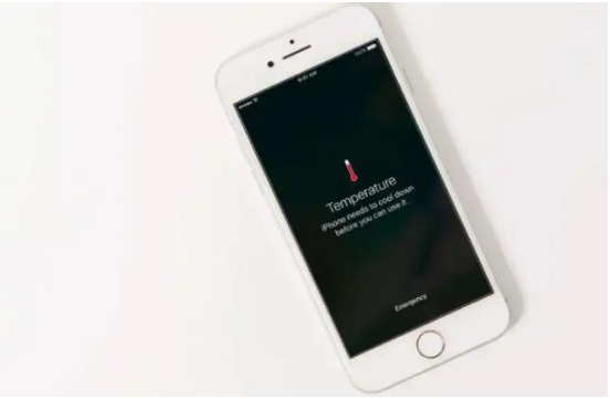 陵城苹果手机维修分享iPhone 手机发热如何快速降温 