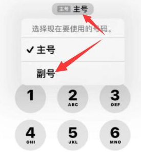 陵城苹果14维修店分享iPhone 14 Pro Max使用副卡打电话的方法 