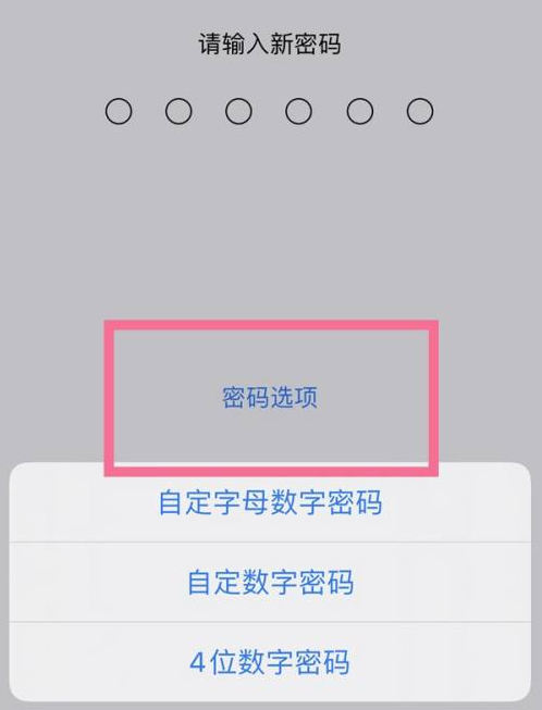 陵城苹果14维修分享iPhone 14plus设置密码的方法 