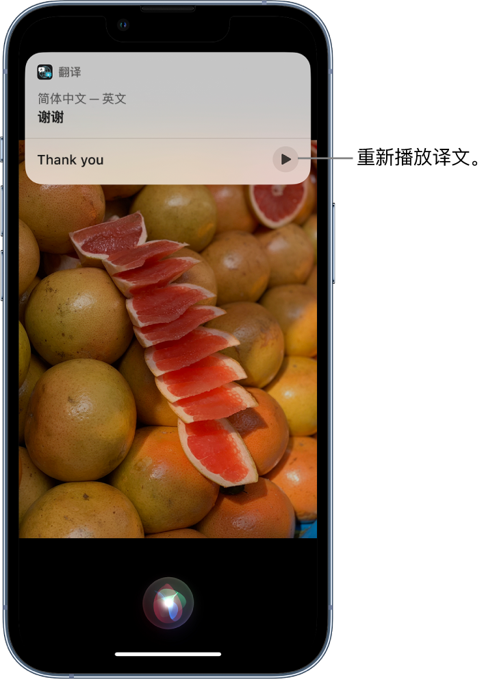 陵城苹果14维修分享 iPhone 14 机型中使用 Siri：了解 Siri 能帮你做什么 