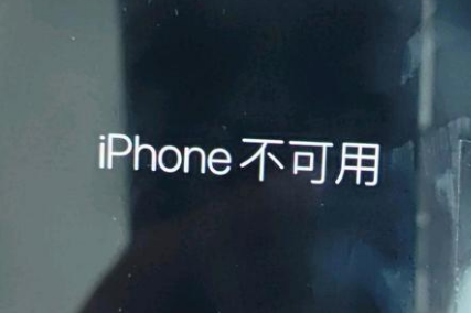 陵城苹果服务网点分享锁屏界面显示“iPhone 不可用”如何解决 