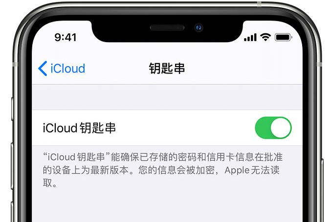 陵城苹果手机维修分享在 iPhone 上开启 iCloud 钥匙串之后会储存哪些信息 