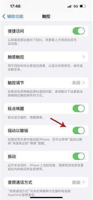 陵城苹果手机维修分享iPhone手机如何设置摇一摇删除文字 