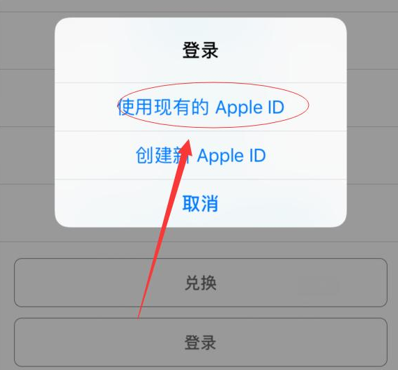 陵城苹果手机维修分享两台iPhone设备可以同时登录一个Apple ID吗 
