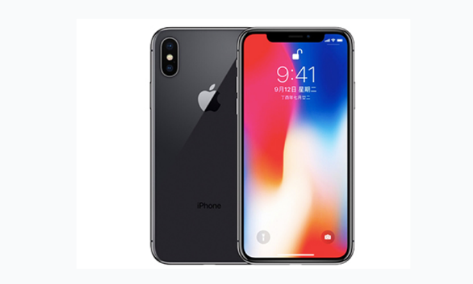 陵城苹果手机维修分享iPhone X换电池 