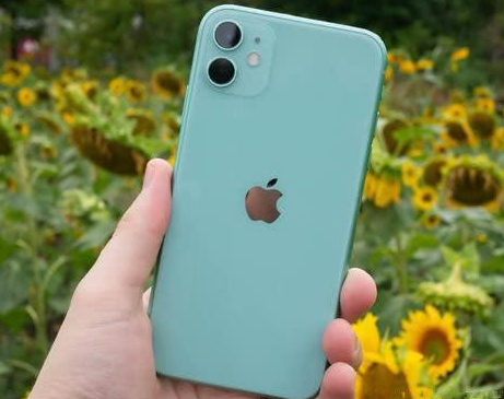 陵城苹果维修点分享iPhone 11锁屏密码认知与使用科普 