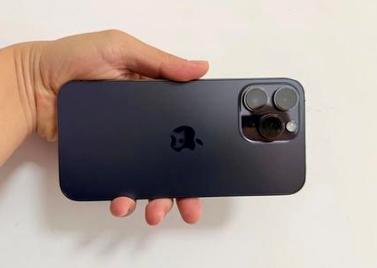 陵城苹果维修点分享iPhone 14 Pro Max黑屏少见故障盘点 